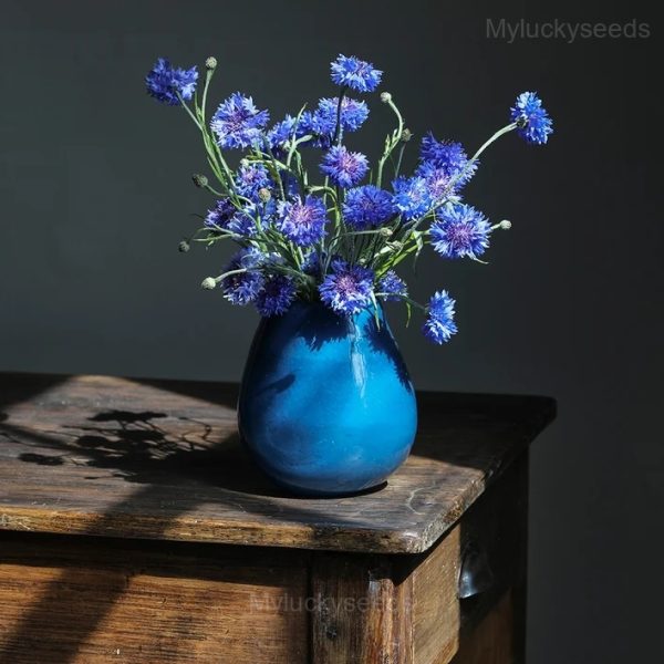 Cornflower Seeds