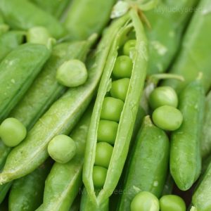 Pea-Licious Shell Pea Seeds