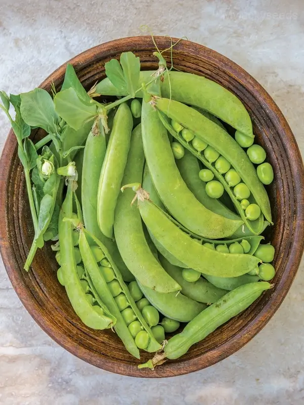 Pea-Licious Shell Pea