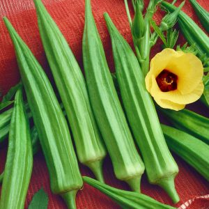 Okra Seed