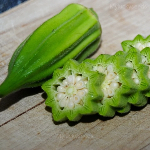 Okra Seed