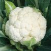 Cauliflower Seed