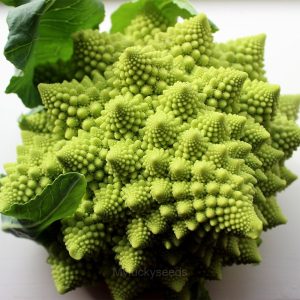 Romanesco Broccoli Seed