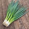 Green Onion Seed