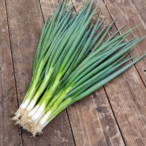 Green Onion Seed