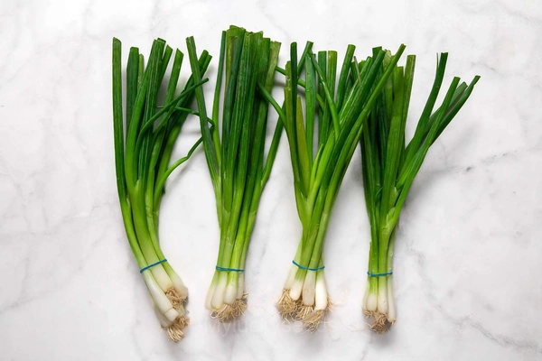 Green Onion Seed