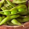 Edamame Soybean Seed