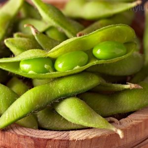 Edamame Soybean Seed