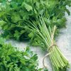 Leaf Parsley Seed