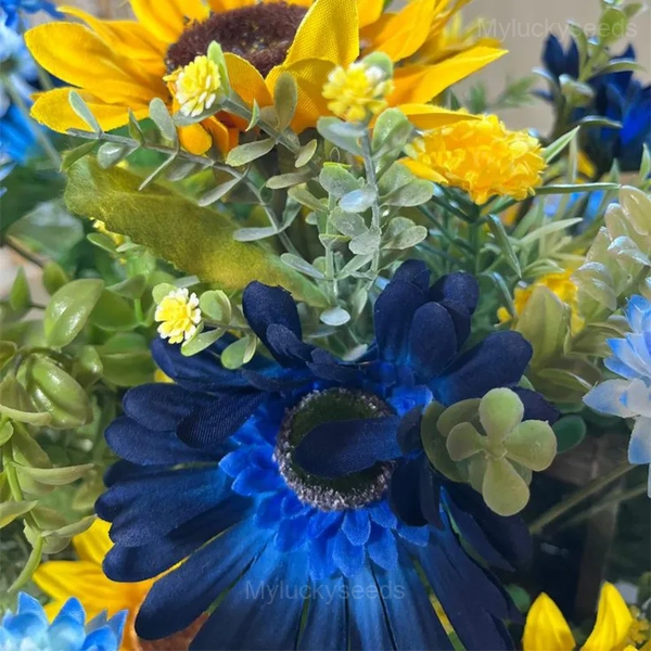 Rare Mixed Color Sunflower Seeds - Image 2