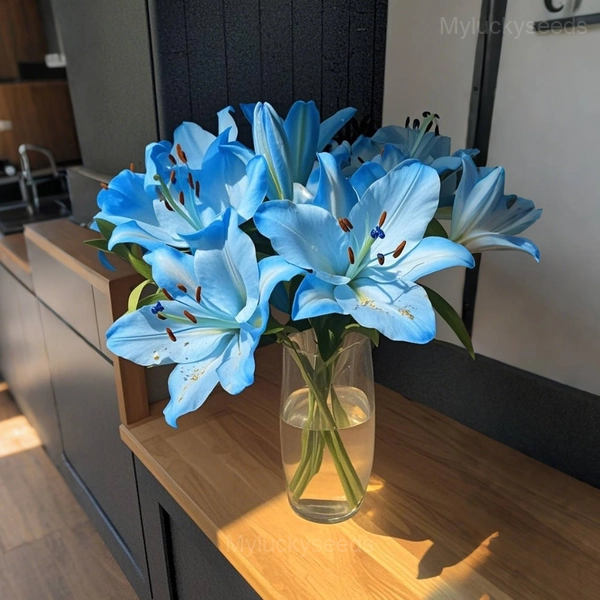 Charming Lily Seeds - 3🟦, 50 Seeds👍