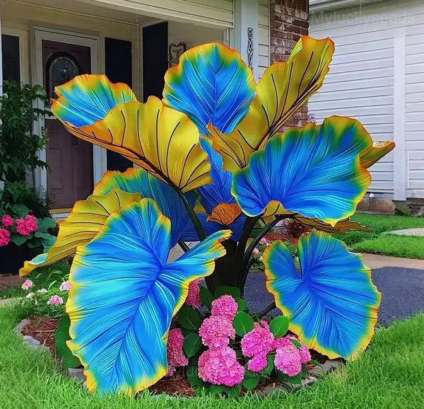 Decorative Leaf Caladium Seeds - 16🟦🟨, 100 Seeds🌱🔥